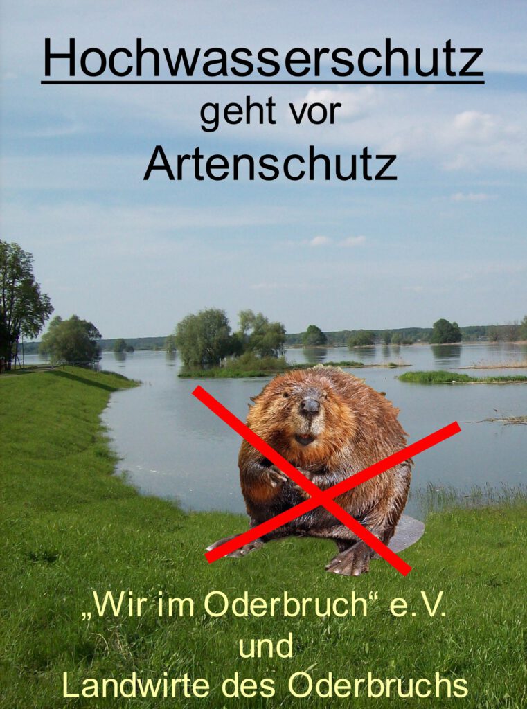 A4 Letschin Plakat druck